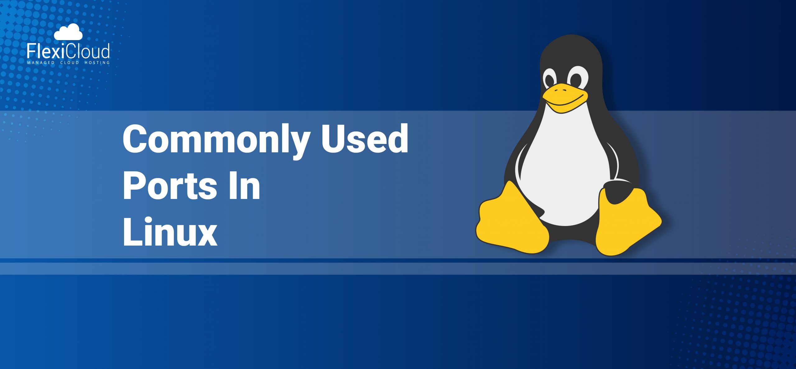 Commonly Used Ports in Linux